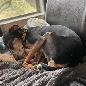 Meet your Posher, Kurt